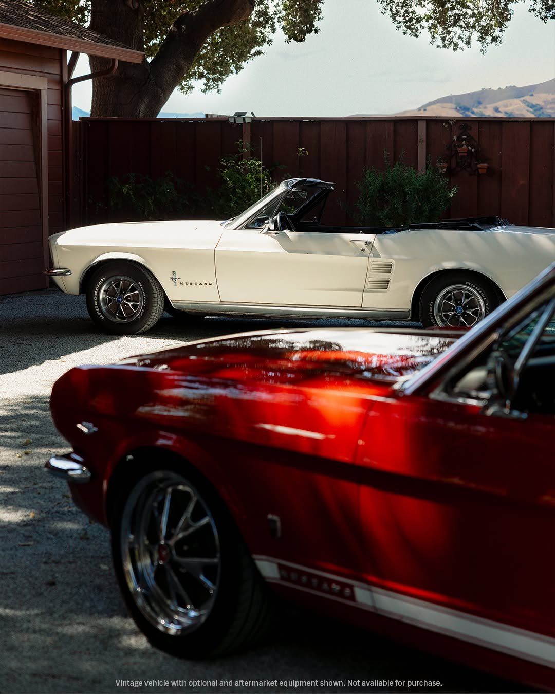 Photo shared by Ford Mustang on December 15, 2025 tagging @francescafioresi. May be an image of car, blower, wheel, convertible and text.