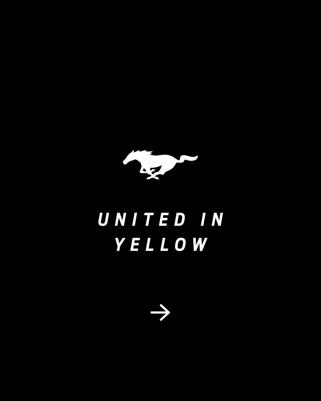 Photo by Ford Mustang on December 10, 2025. May be an illustration of map, poster and text that says 'UNITED IN YELLOW →'.