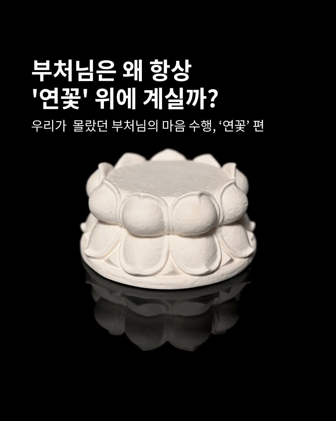 forgemansion 게시물 이미지: 부처님은 왜 항상 ‘연꽃’위에 계실까?

연꽃은 진흙 속에서 피어나지만 그 본질은...