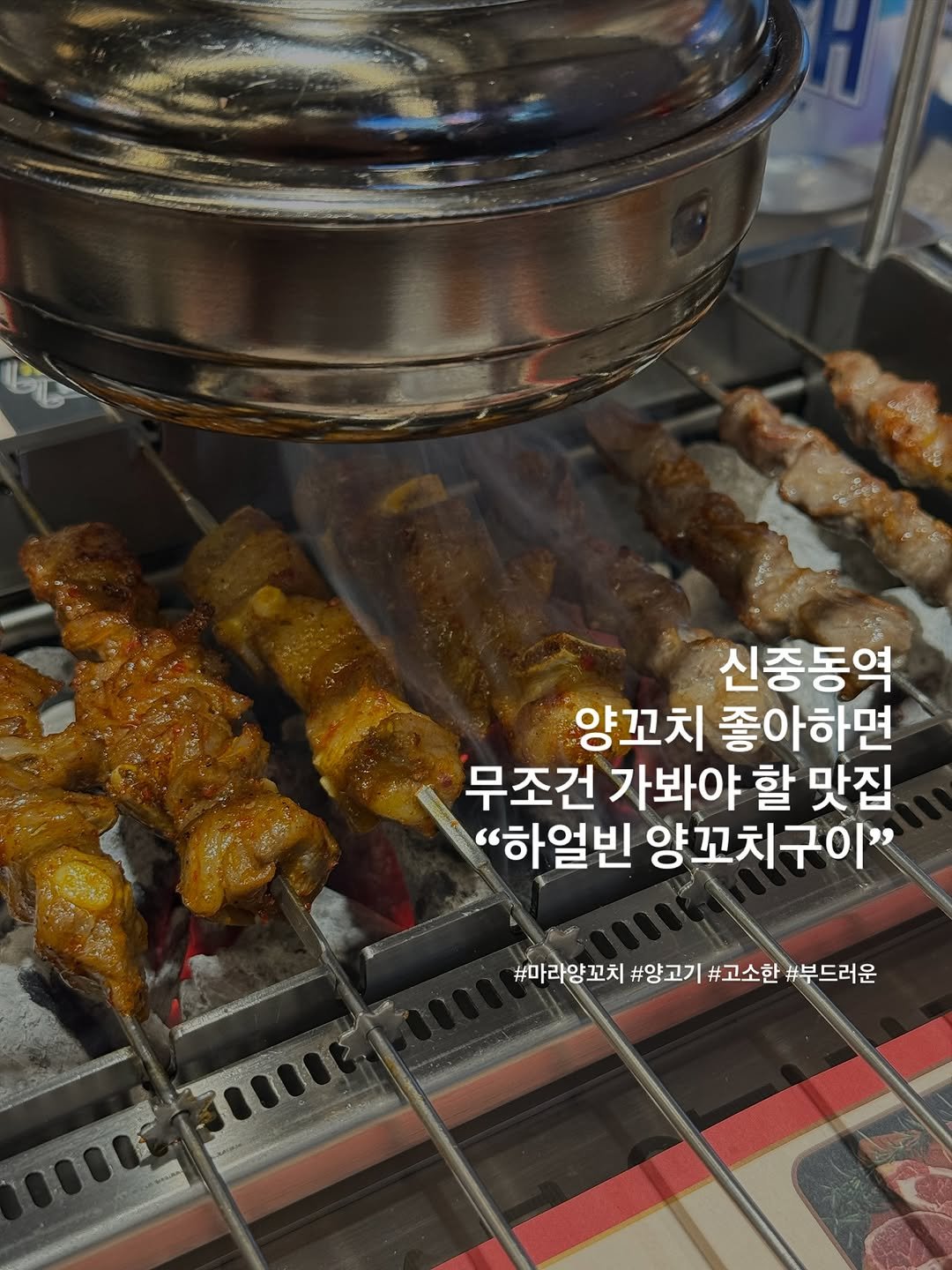 Photo by 포크앤스푼 | 맛집리뷰 • 느좋카페 • 핫플소개 | on November 13, 2025. May be an image of chicken, skewer and text that says 'H 신중동역 양꼬치 좋아하면 무조건 가봐야 할 맛집 "하얼빈 양꼬치구이 #마라양꼬치 #양고기 #고소한 #부드러운'.