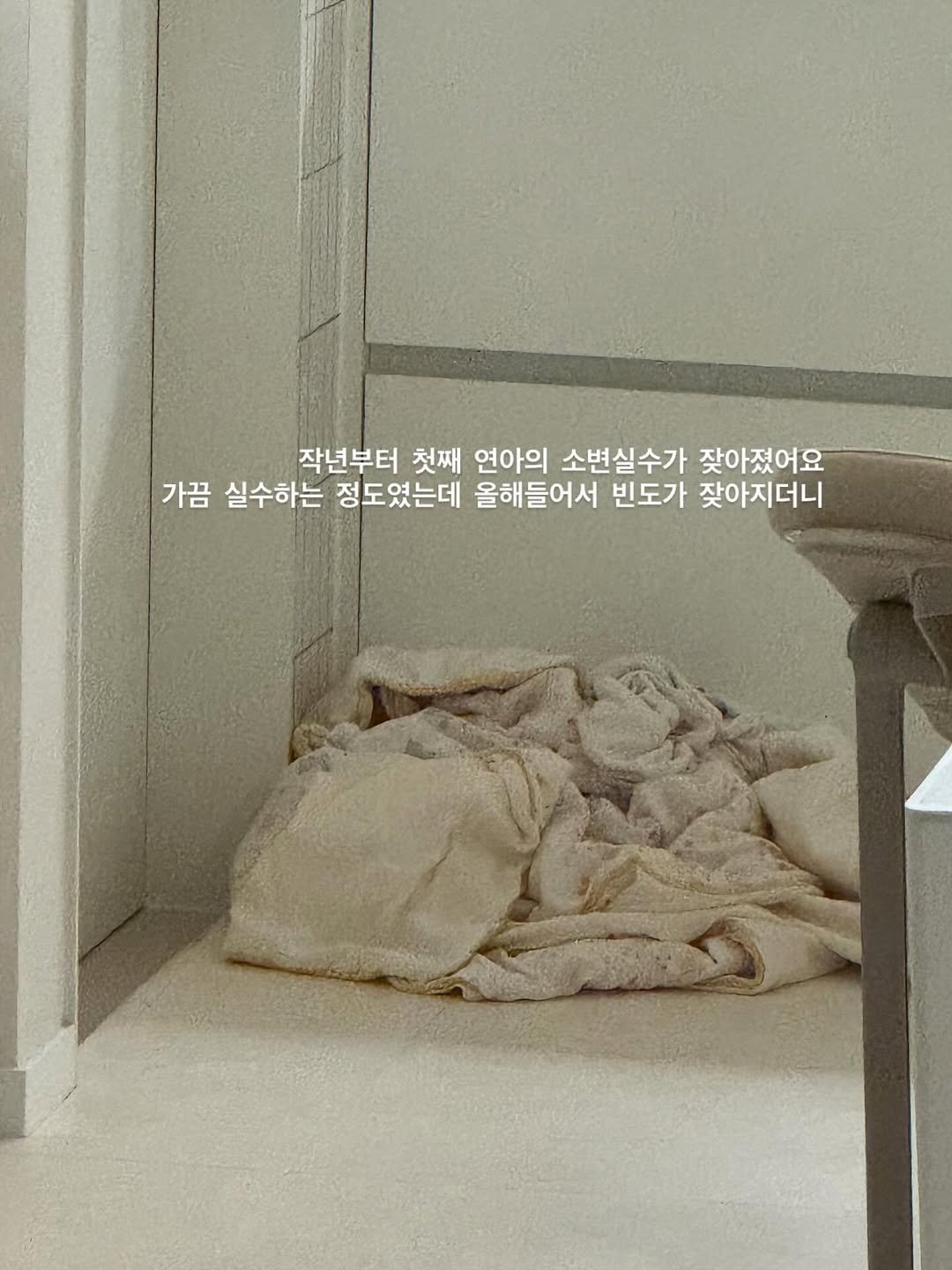 Photo by 포몽드 · 아기쿨매트 맛집 on September 15, 2025. May be an image of text that says '작년부터 첫째 연아의 소변실수가 잦아졌어요 가끔 실수하는 정도였는데 올해들어서 빈도가 잦아지더니'.