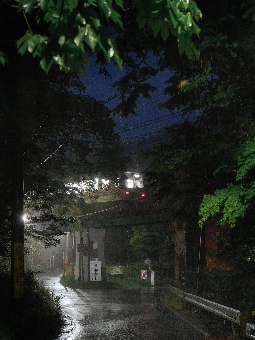 foto_ycy 게시물 이미지: 교토여행중 비가 온다는 소식에 에이잔 열차를 타러간 이유

📍Kyoto

사진 속...