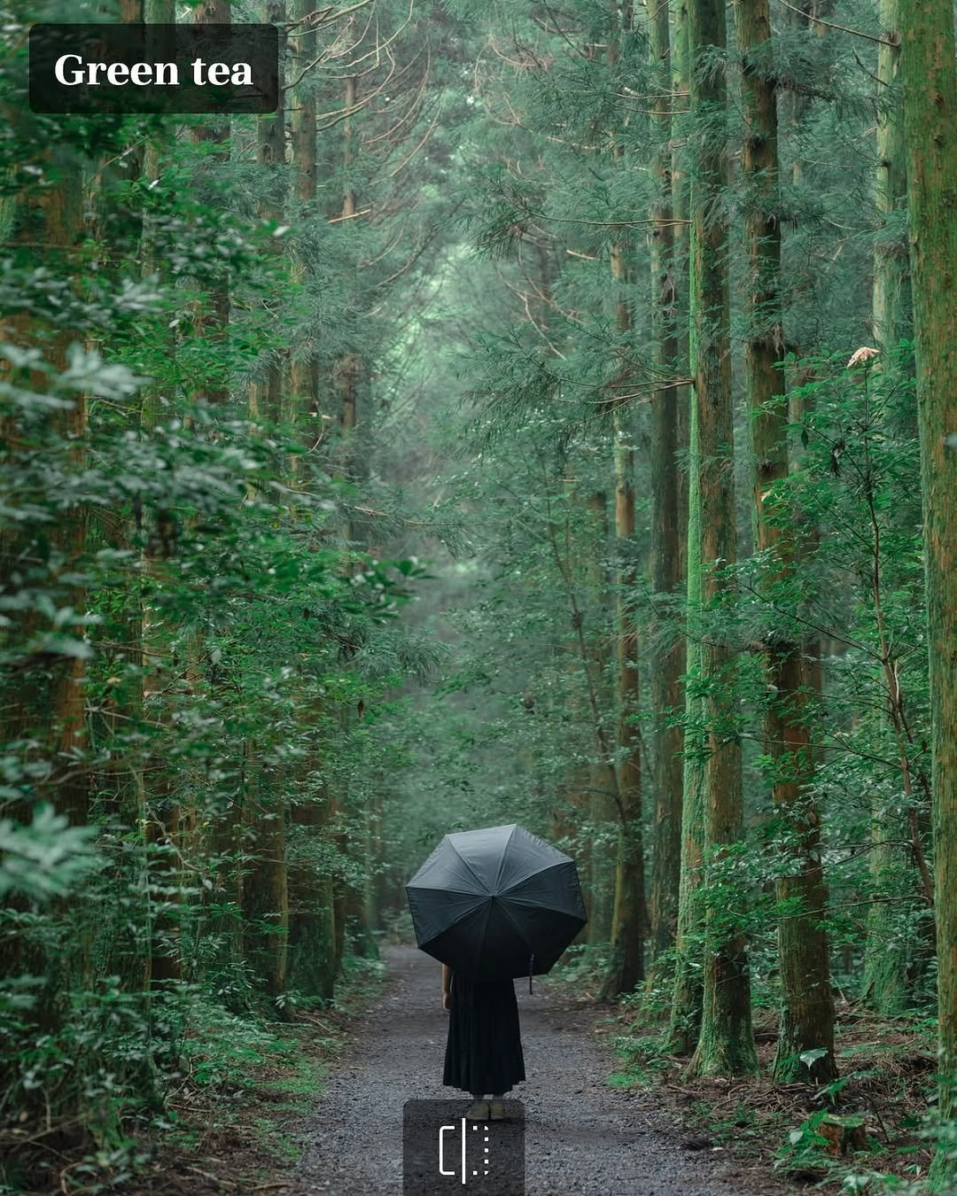 Photo by 🇰🇷여행 포토 크리에이터 윤찬영 | 인생샷달인 on October 19, 2024.