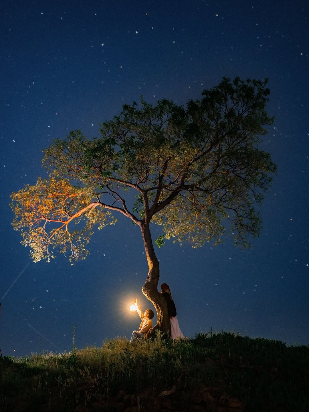 Photo by 🇰🇷여행 포토 크리에이터 윤찬영 | 인생샷달인 on April 24, 2026. May be an image of tree and text.