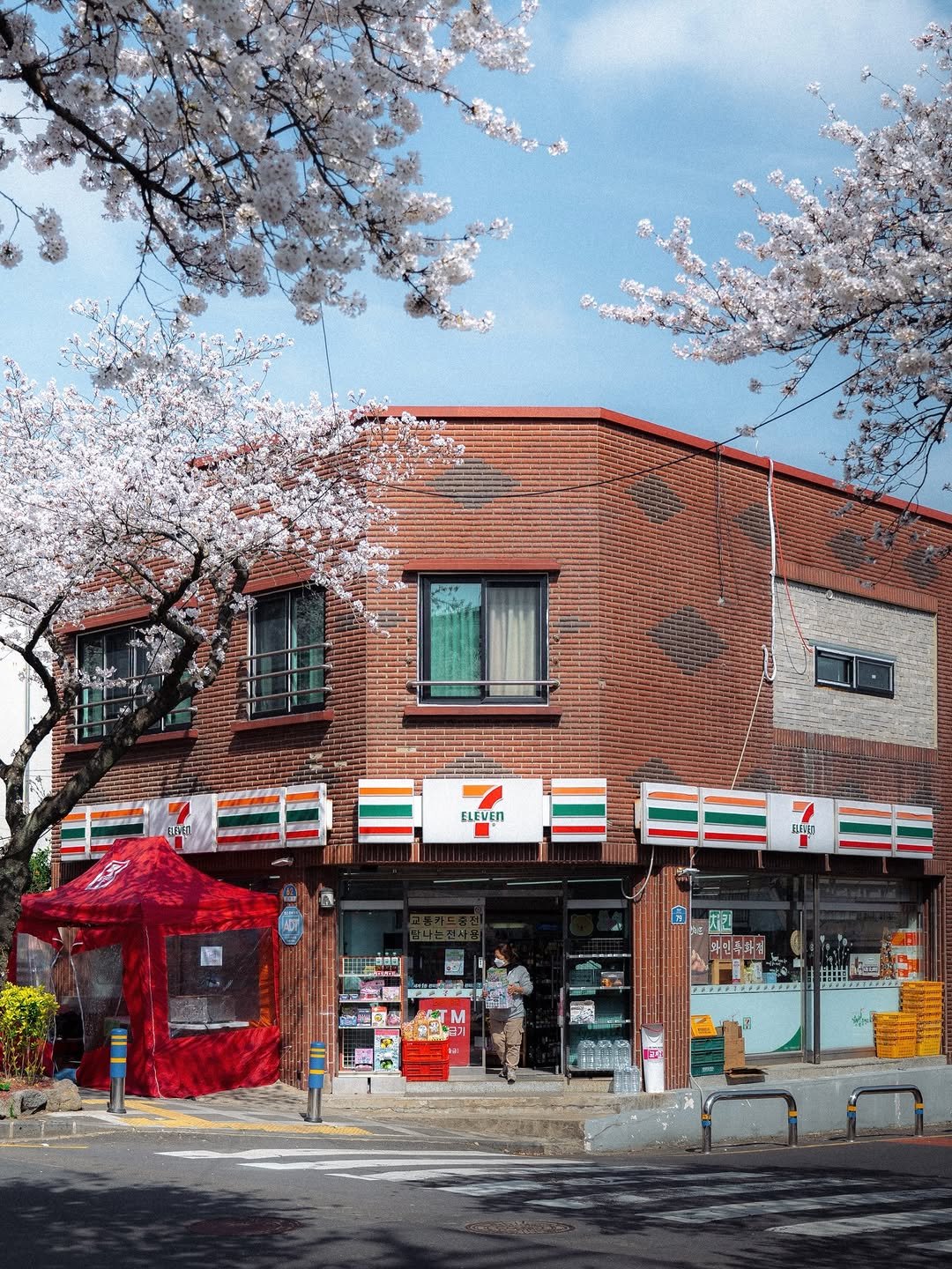 Photo by 여행 포토 크리에이터 윤찬영 | 인생샷달인 on February 22, 2026. May be an image of stone-fruit tree, buildings and text.