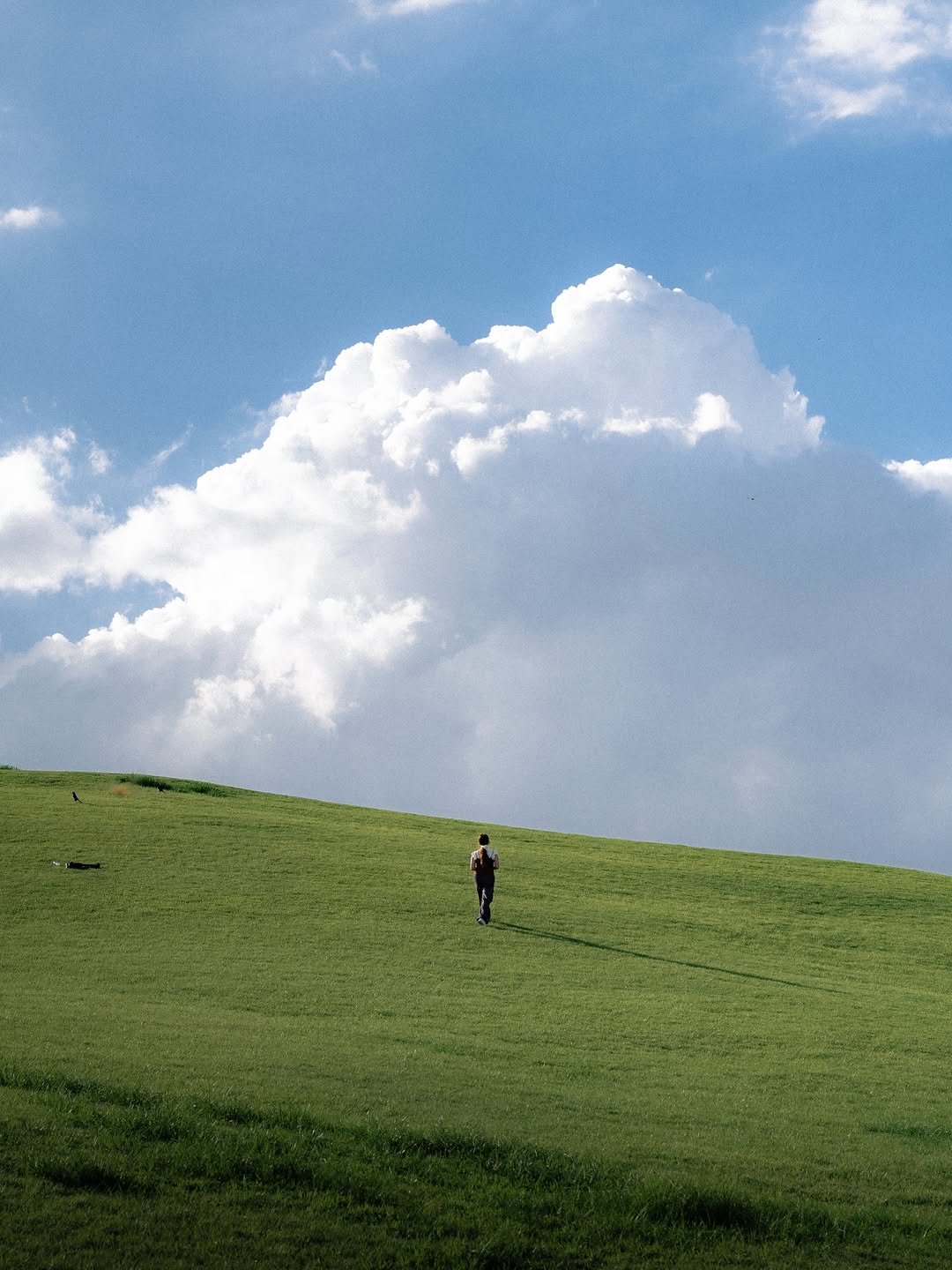 Photo by 🇰🇷여행 포토 크리에이터 윤찬영 | 인생샷달인 on April 19, 2026. May be an image of cloud, grass and text.