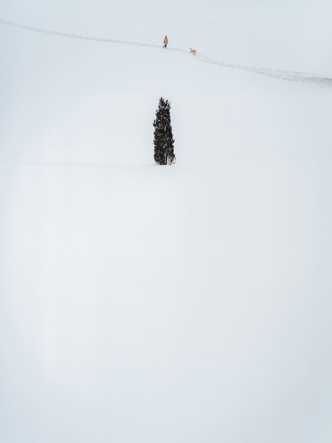 Photo by 여행 포토 크리에이터 윤찬영 | 인생샷달인 on December 03, 2025. May be an image of emperor penguin, ski, arctic, ski slope and text.