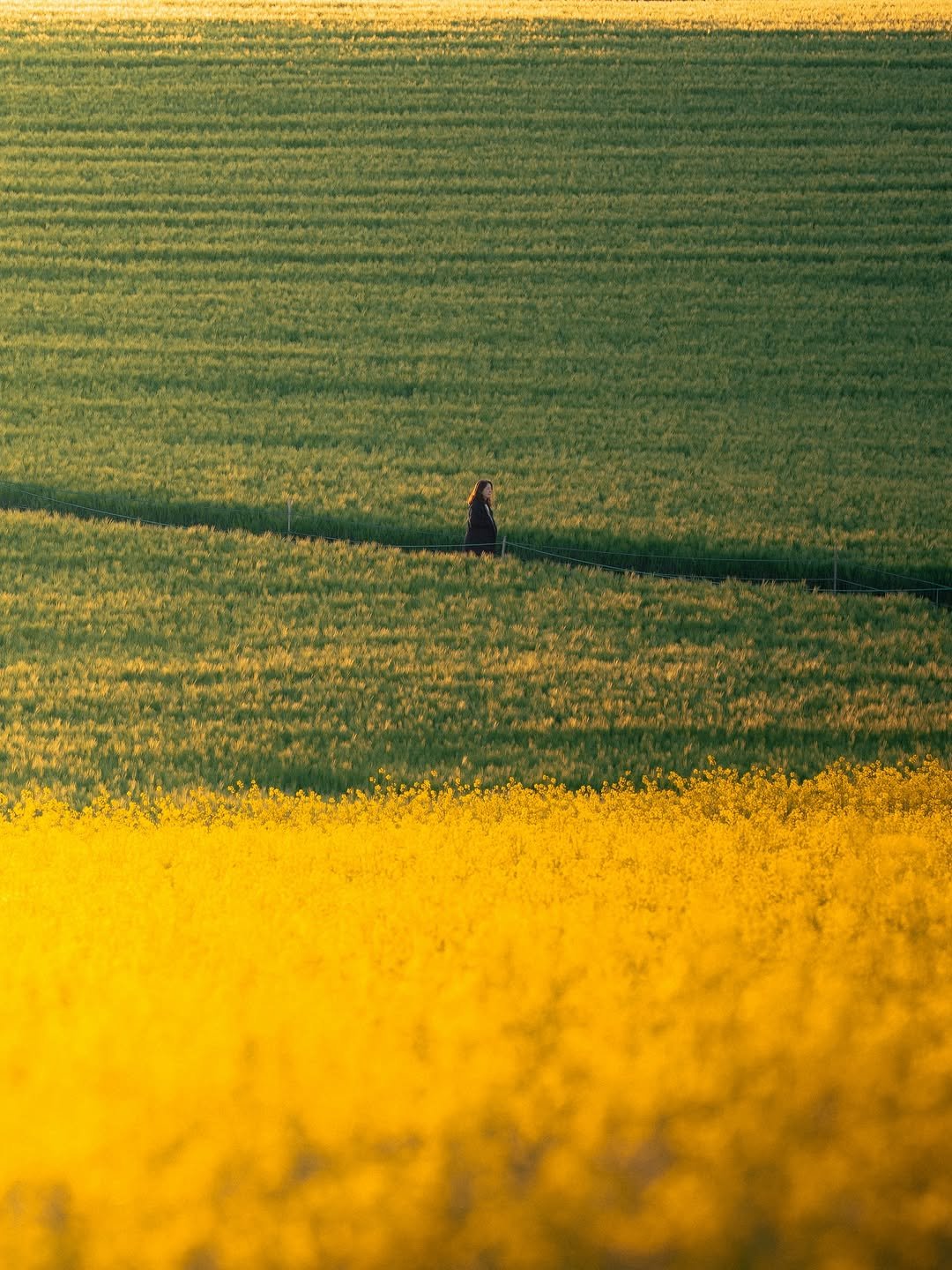 Photo by 🇰🇷여행 포토 크리에이터 윤찬영 | 인생샷달인 on April 25, 2026. May be an image of text.