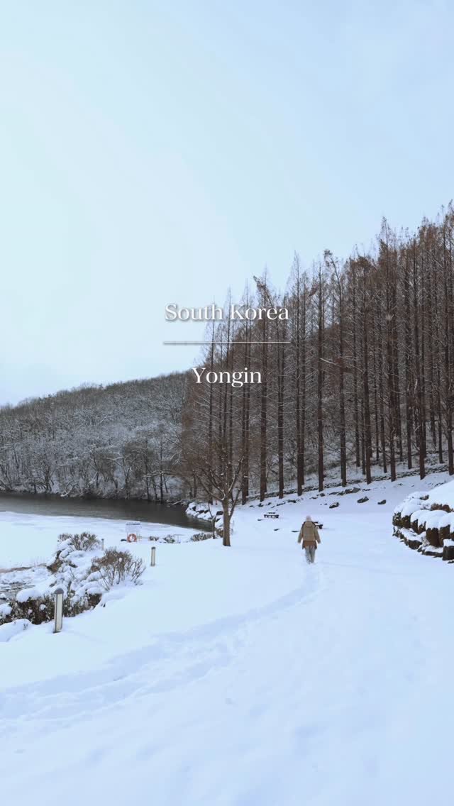 foto_ycy 게시물 이미지: 수도권에 눈이 왔다면 여기 한번 더 가보세요❄️

📍한국 외대 글로벌캠퍼스...