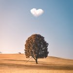 hansfoto 프로필 사진