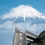 ynfi.lm 프로필 사진