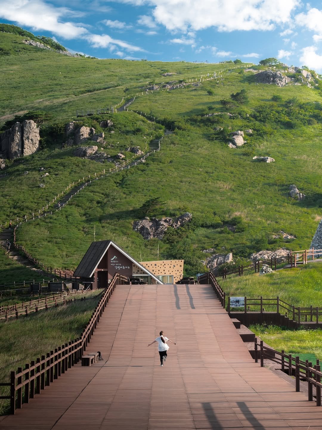 Photo by 여행 포토 크리에이터 윤찬영 | 인생샷달인 on December 30, 2025. May be an image of sheep, outdoors and text.