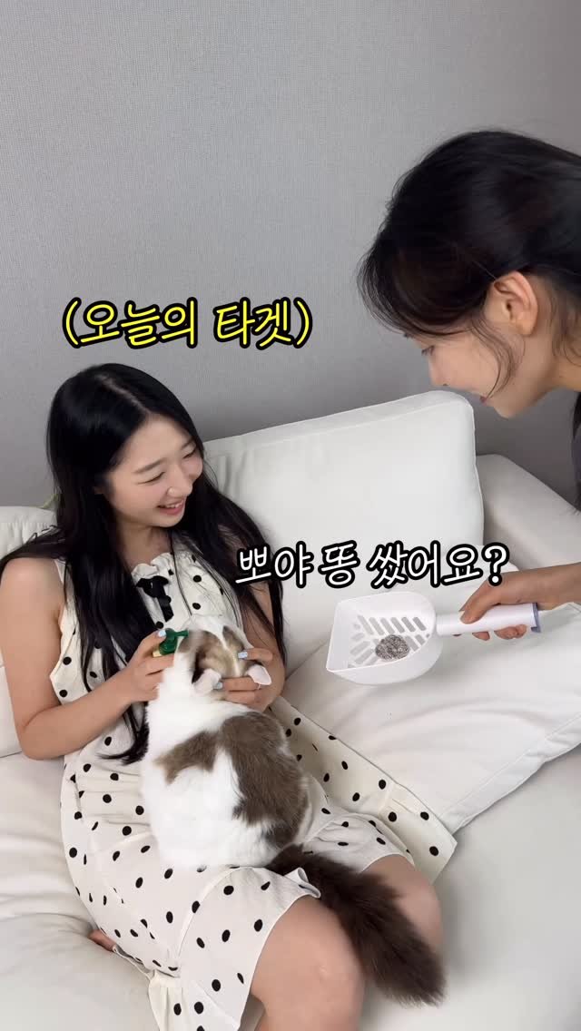 foursisters_moment 게시물 이미지: 여동생한테 똥을 던졌을때ㅋㅋㅋㅋㅋㅋ

.
.
#자매 #일상 #릴스 #reels #short