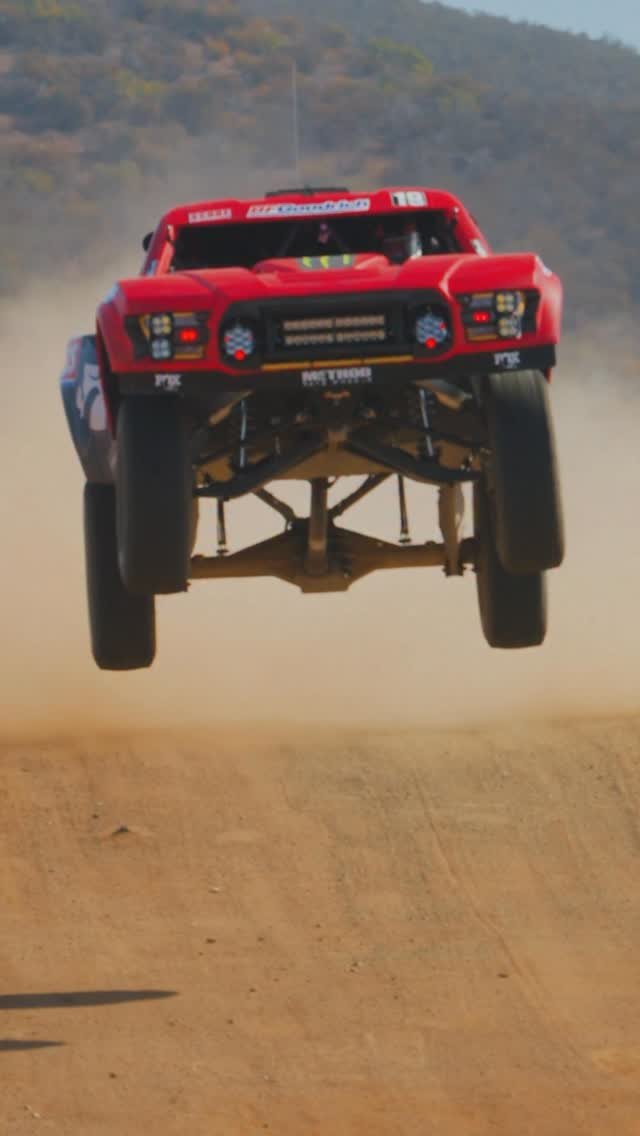 fox 게시물 이미지: To the moon 🚀 @fox #19...