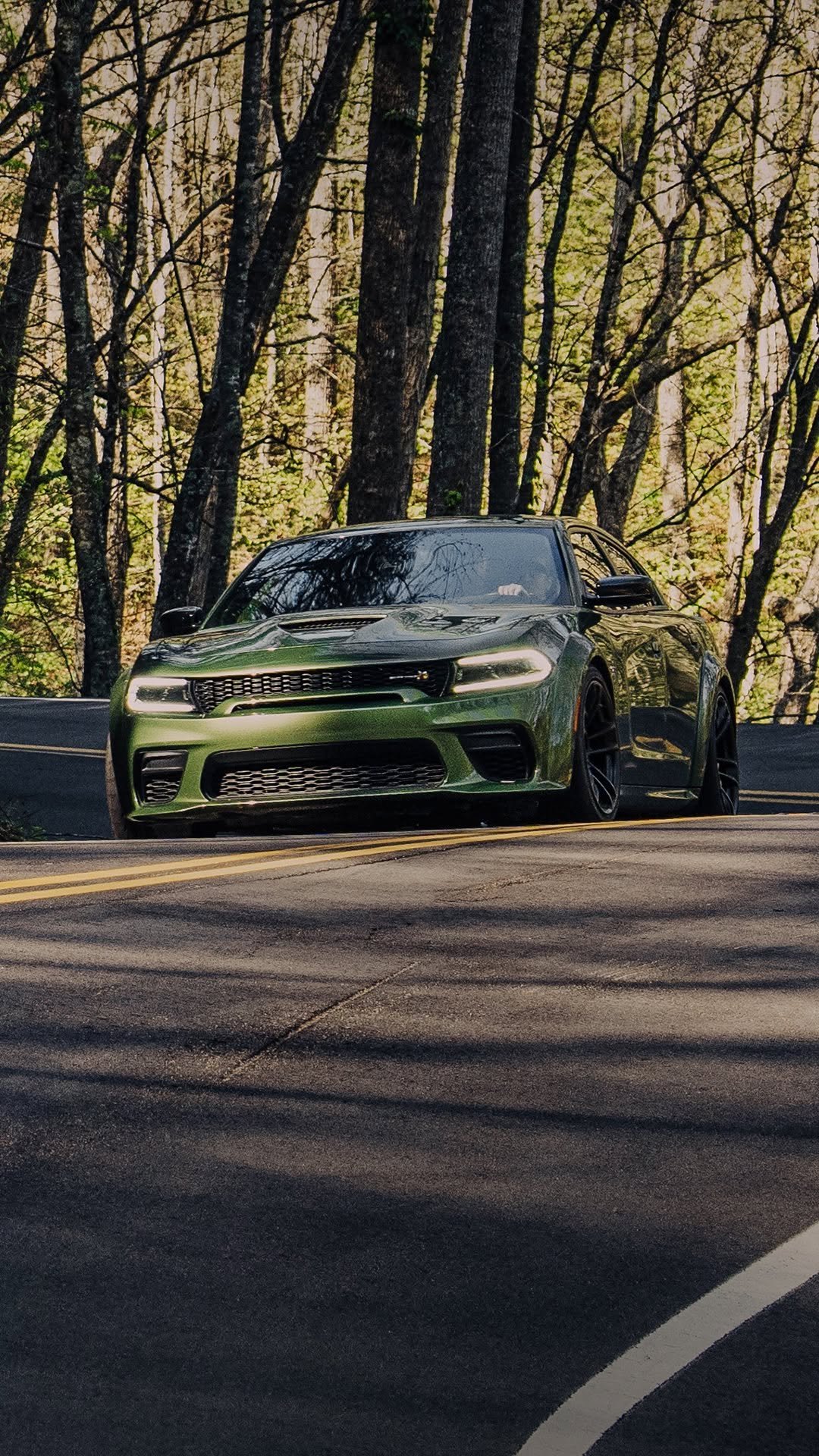 fox 게시물 이미지: A Modern Muscle Car 💪

Built on a 2.0...