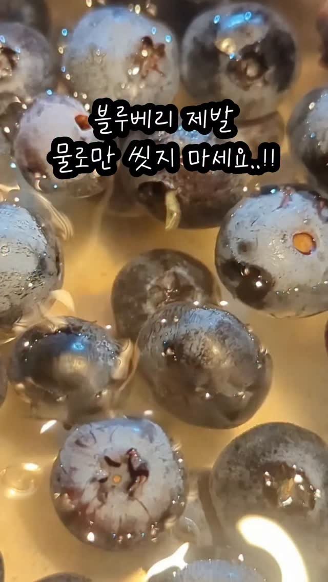 free_sale_home 게시물 이미지: 제철 남겨주세요!!
30년 블루베리 농사지으신
삼촌의 블루베리 세척방법!
댓글...