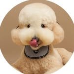 free_sale_home 인스타그램 프로필 사진