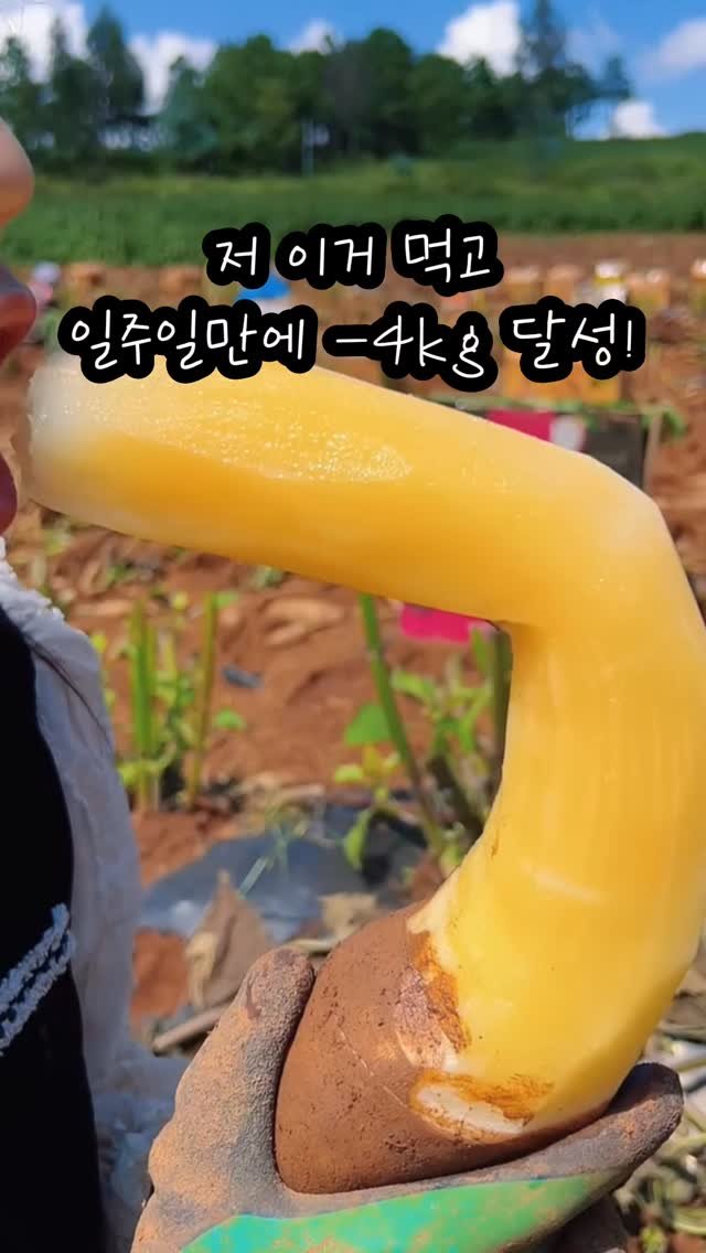 free_sale_home 게시물 이미지: 30 남겨주세요!!
여러분 이거 처음 보면
다들 고구마인 줄 아는데...