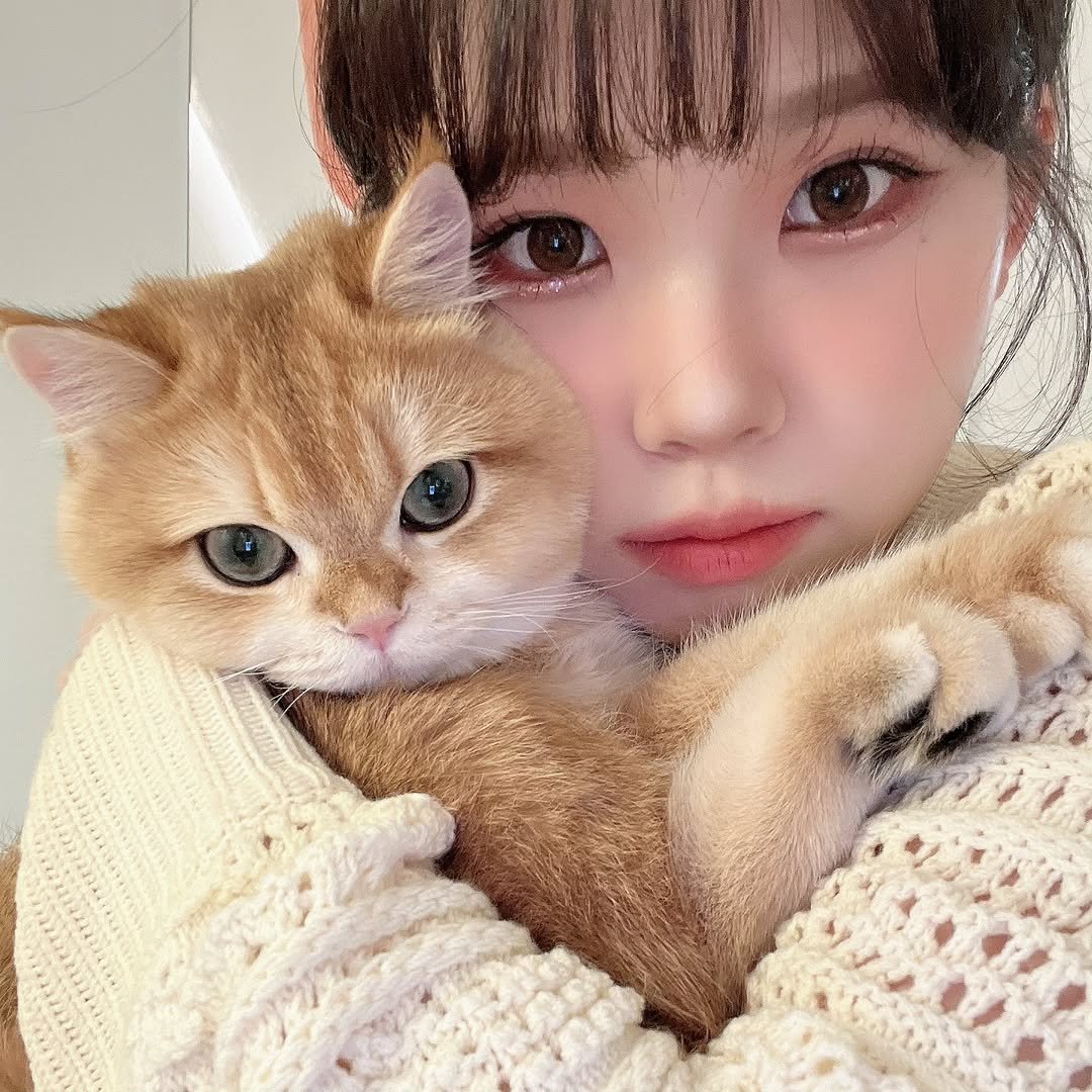 Photo by 우정잉 on November 10, 2025.