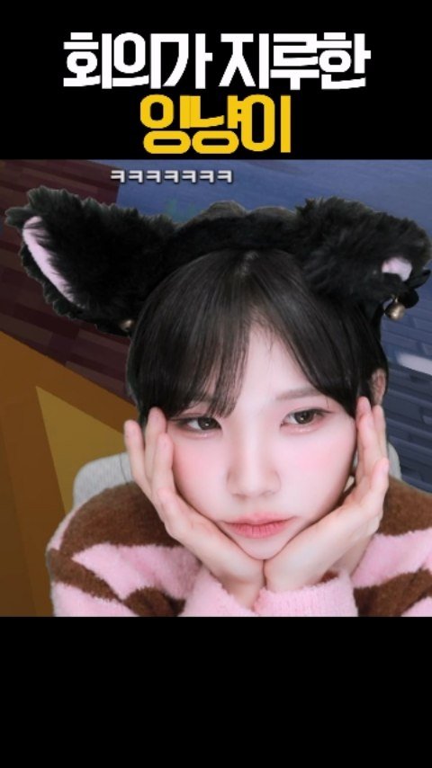 friendshiping_ing 게시물 이미지: 잉냥이 #우정잉 #꽃받침