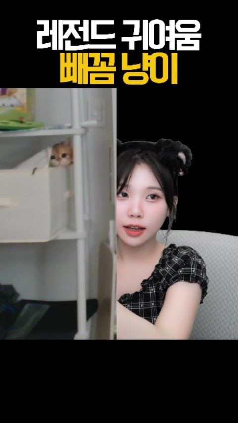 friendshiping_ing 게시물 이미지: 부르면 쳐다보는 꾸꾸 #우정잉 #꾸꾸 #빼꼼 #냥이 #고양이