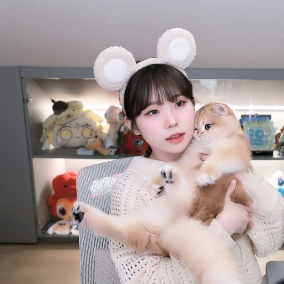 Photo by 우정잉 팬계정🪼 on November 10, 2025. May be an image of kitten and text.