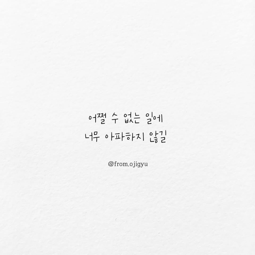 Photo by 唯 on August 01, 2024.