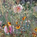 goodsummer77 프로필 사진