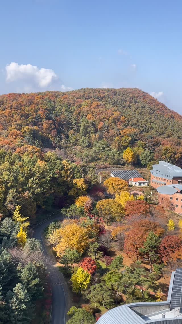 from4rest 게시물 이미지: ❝ 그러나 거기까지가 나의 영토다. 나의 집이다. 
나의 집은 나의 시선이 닿는...