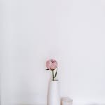 shin_mikyong 프로필 사진