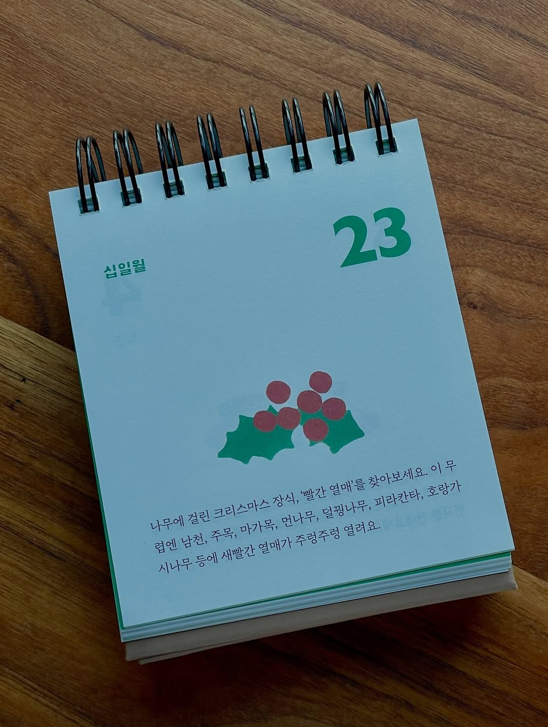 Photo by Kim Shinji on November 24, 2025. May be an image of calendar, card and text.