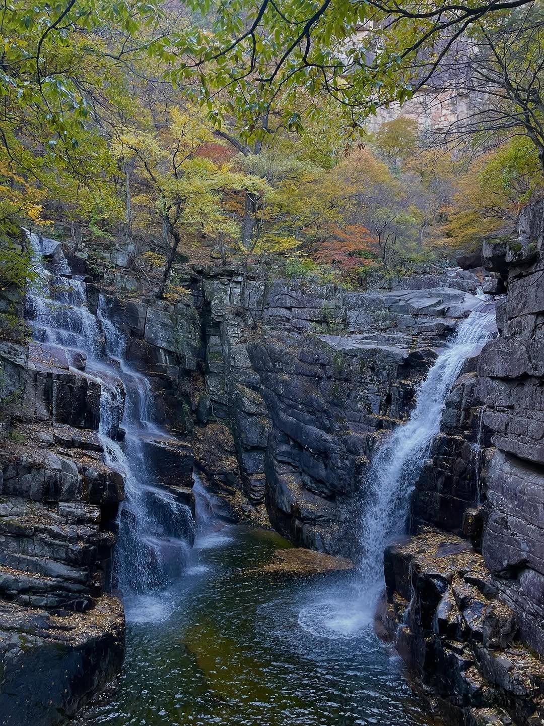 Photo by Kim Shinji on November 03, 2025. May be an image of nature, waterfall, water and text.