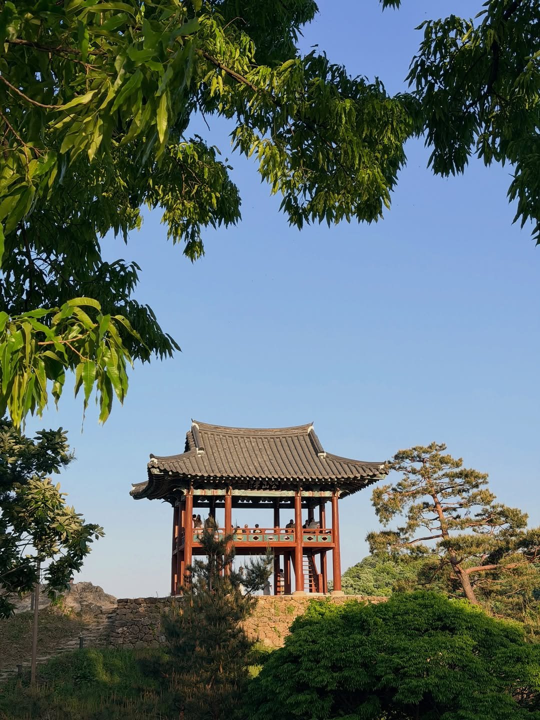 from4rest 게시물 이미지: •
공주에서의 제철 산책. 성곽길 매니아라 어디 가면 꼭 걷고 오는데 해질녘의...