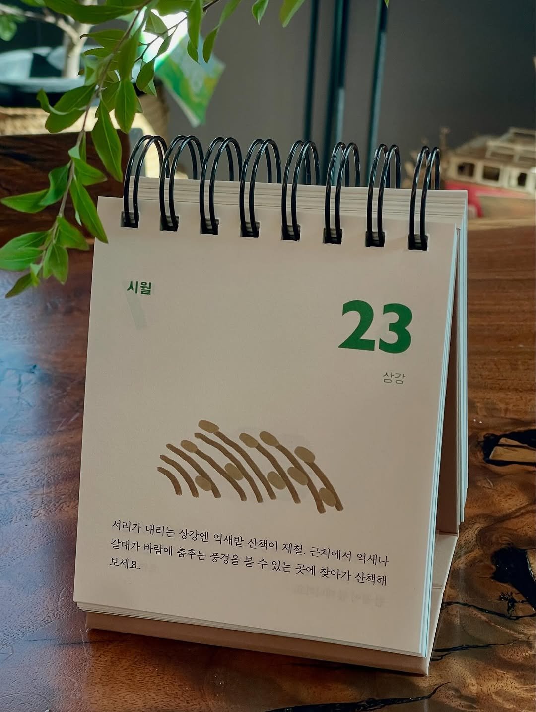 Photo by Kim Shinji on October 22, 2025. May be an image of ‎diary, book, calendar, clipboard and ‎text that says '‎시월 시월 23 상감 ו 서리가 서리가네리는 네리는 산강엔 억새발 산책이 제철, 근처에서 억새나 갈태가 감대가바람에 바람에 춤추는 풍경을 풍 보세요. 볼 수 있는 곳에 찾아가산책해 찾아가 산책해‎'‎‎.
