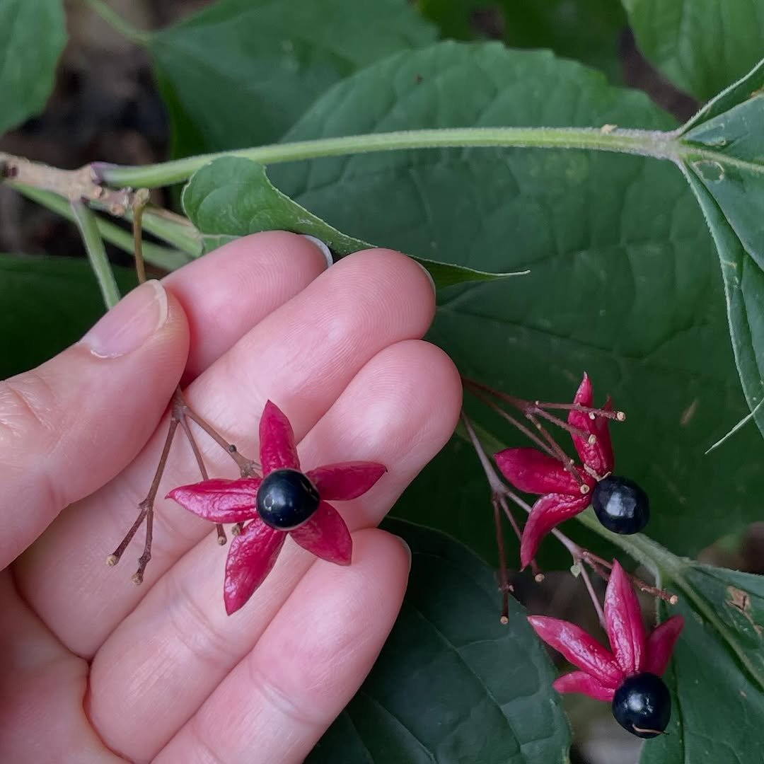 Photo by Kim Shinji on October 28, 2025. May be an image of text.