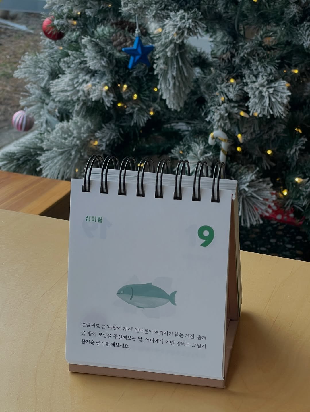Photo by Kim Shinji on December 19, 2025. May be an image of fish, christmas tree, calendar, card, clipboard, pen and text.