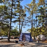 camper_buffon 프로필 사진