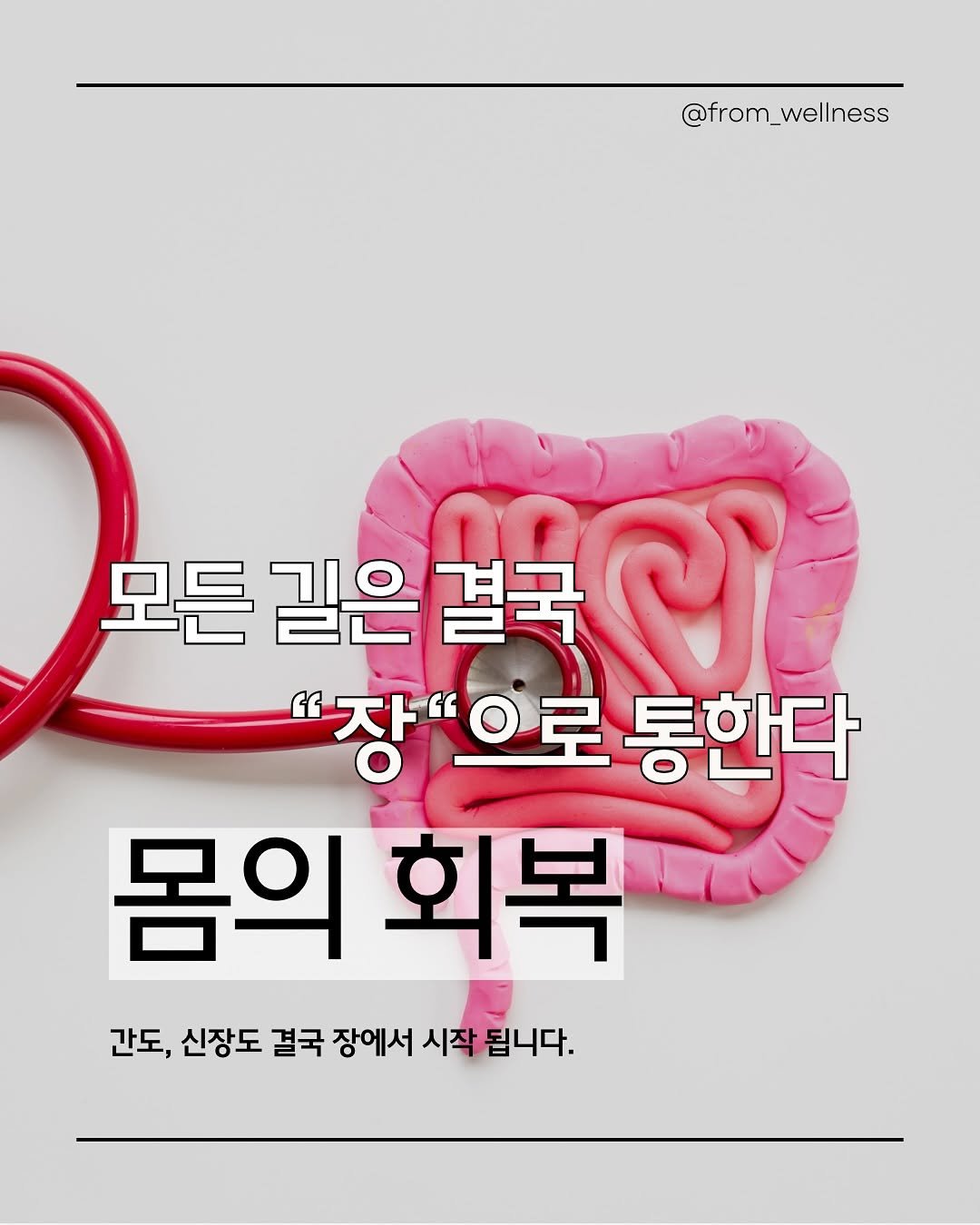 Photo by 프롬웰니스 🌸암경험자의 웰니스 라이프 | 건강습관 & 정보 공유 on September 13, 2025. May be an image of poster, stethoscope and text that says '@from_wellness 모든 길은 결국 " "장"으로 장 으로 통한다 몸의 회복 간도, 신장도 결국 장에서 시작 됩니다.'.