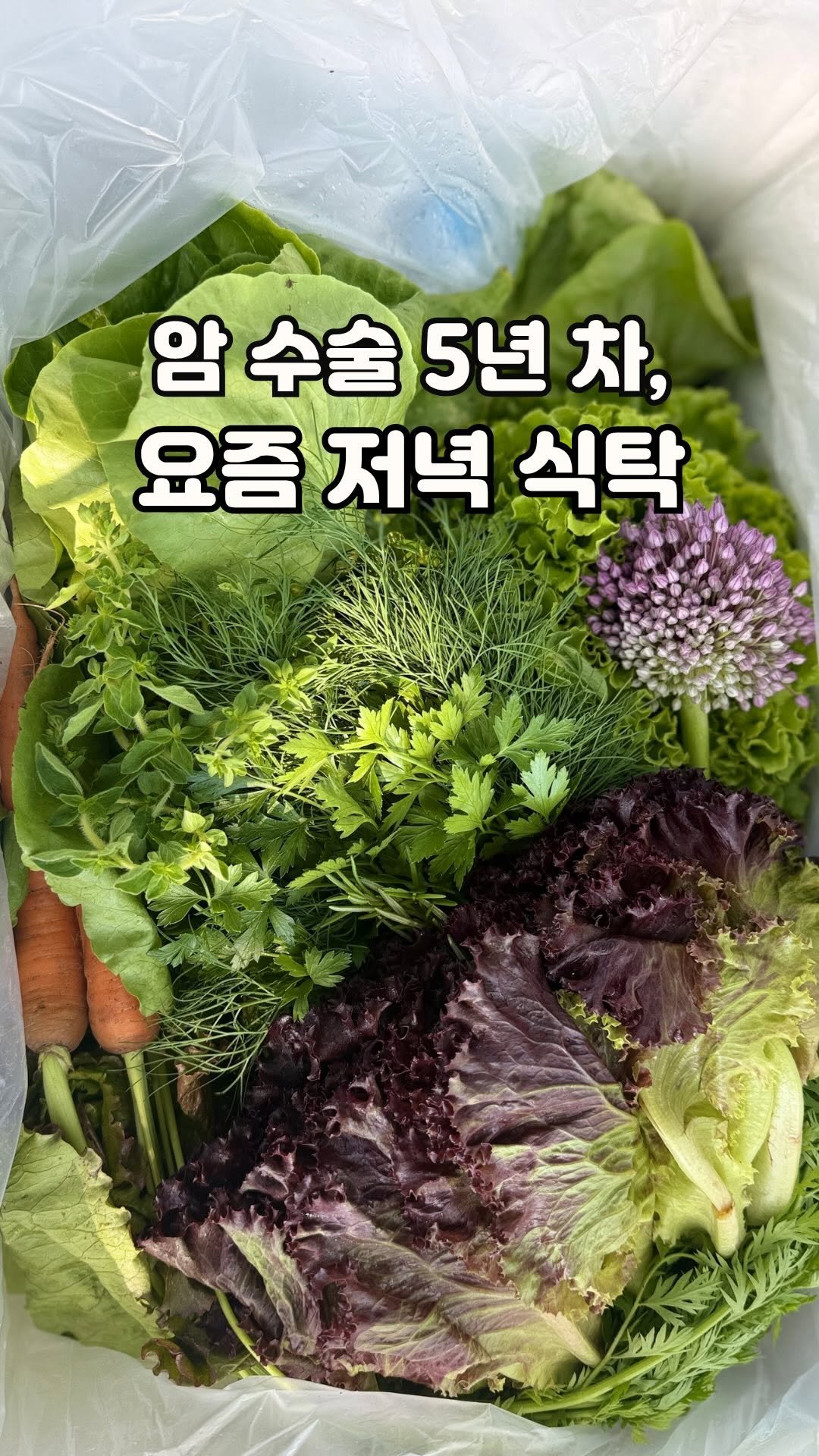 from_wellness 게시물 이미지: 🥬 박스를 여는 순간 향부터 달랐어요. 거제에서 온 유러피안 샐러드채소....