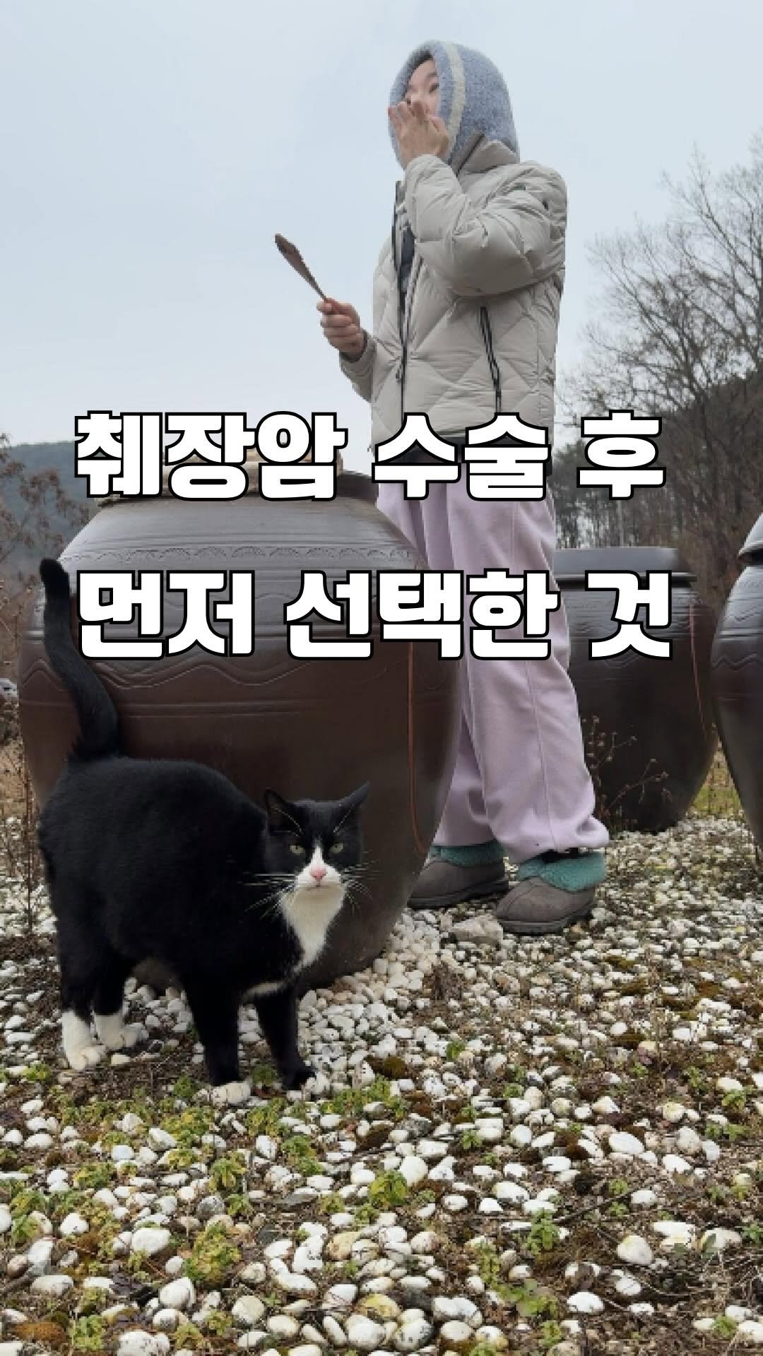 from_wellness 게시물 이미지: 암과 스트레스의 관계에 대해
자료를 찾아보다가 알게 된 것이 있다.

암의 큰 원인...