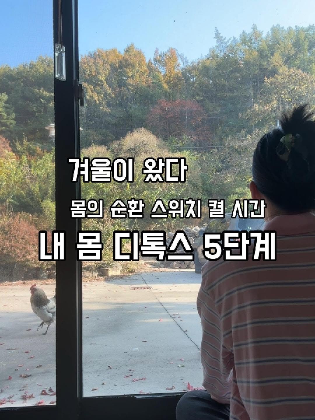 Photo by 프롬웰니스 🌸암경험자의 웰니스 라이프 | 건강습관 & 정보 공유 on November 06, 2025. May be an image of pie and text that says '겨울이 왔다 몸의 순환 스위치 켤 시간 내몸디톡스5단계 내 몸 디톡스 5단계'.