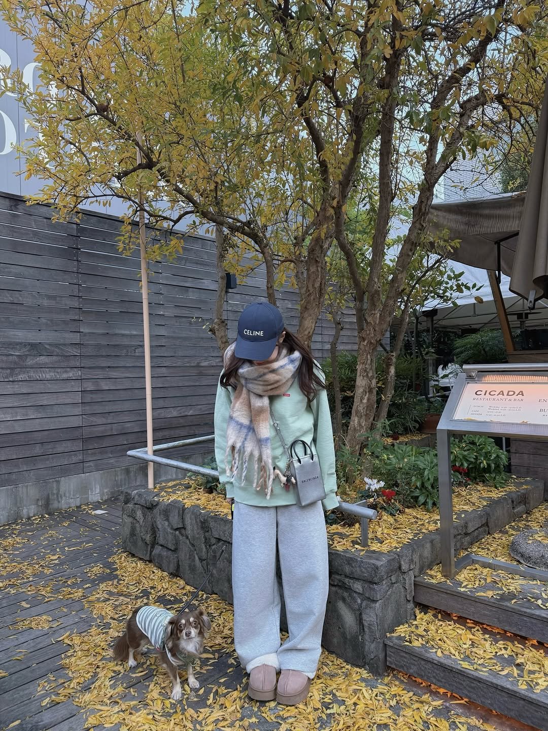 Photo by 藤森里穂｜Fujimori Riho on November 26, 2025. May be an image of duffle coat, parka, devilwood, yellow jessamine and text.