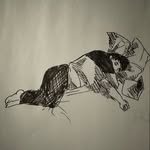 00_yuki_y 프로필 사진