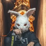 fxxkingrabbits 인스타그램 프로필 사진