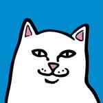 ripndip.jp 프로필 사진