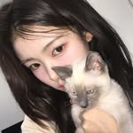 프로필
