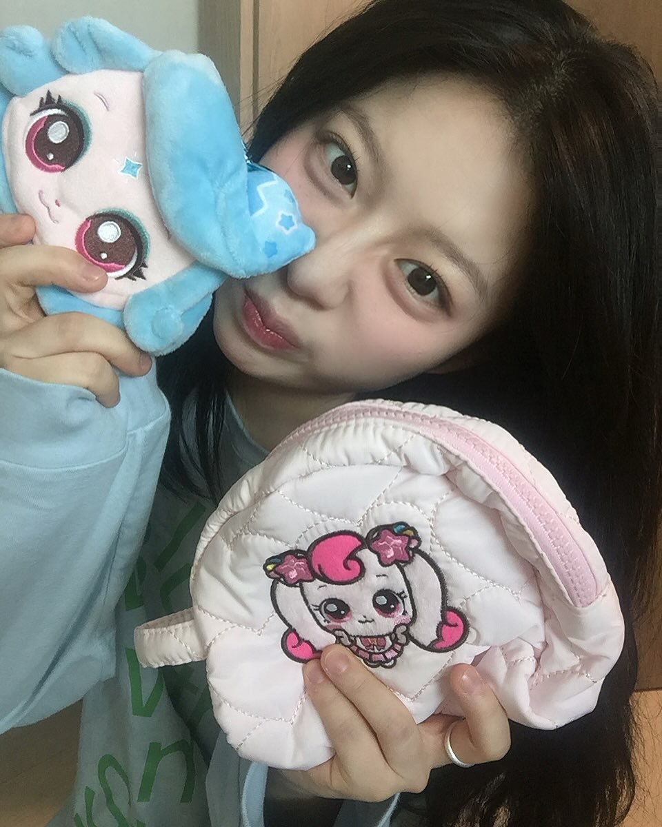 Photo shared by 여름 on February 24, 2025 tagging @goodal_official. May be an image of toy, purse, pencil case, pouch and diaper.