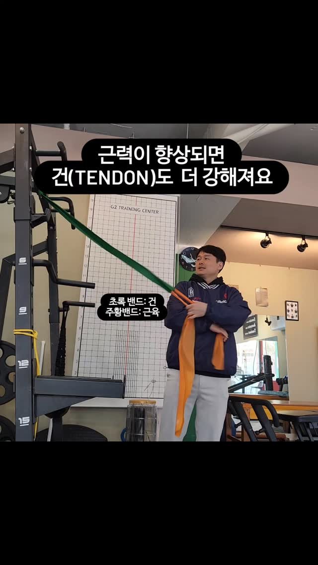g2_training 게시물 이미지: 강한 근력은 인대나 건을 더욱 탄성있게 만들어 줄 수 있어요
인대나 건은 늘어나고...