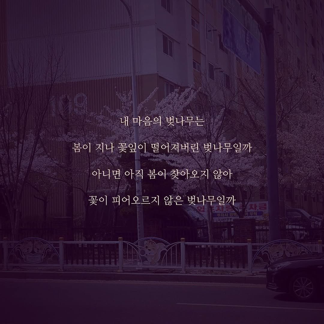 g_2m0ti0n 게시물 이미지: 내 마음의 벚나무
.
.
.
#저장시댓 #선팔 #좋아요 #소통 #글귀 #감성글귀...
