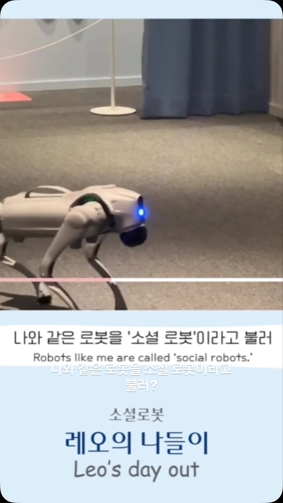 g_childrens_museum 게시물 이미지: 진짜 강아지보다 더 귀여운 로봇이 있다면 믿으시겠어요?

[탐험중] 레오의 나들이...